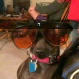 Meet your Posher, David